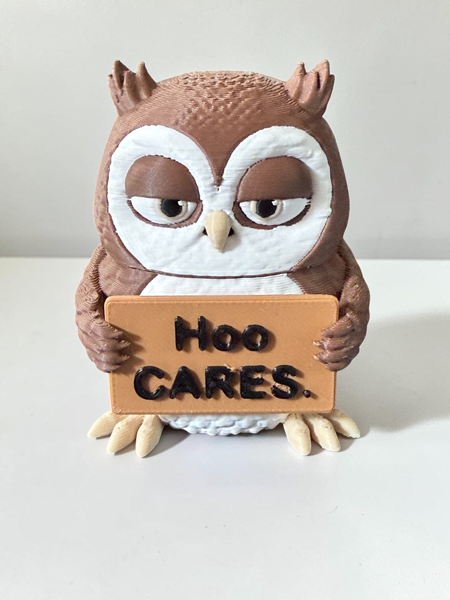 3d printed owl holding a sign that says "Hoo Cares"